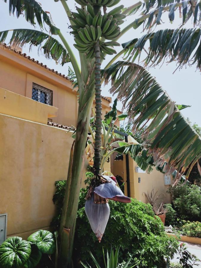 Dudi'S Peppers Apartment มาลากา ภายนอก รูปภาพ